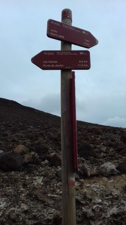 Szlaki turystyczne, piesze wędrówki.