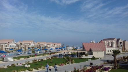 Pickalbatros Sea World.