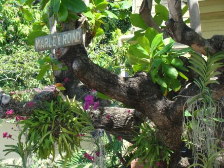 Kingston, dom Boba Marleya