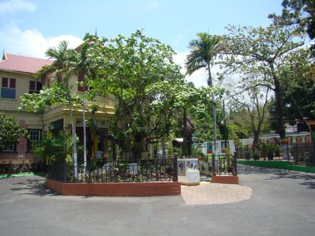 Kingston, dom Boba Marleya