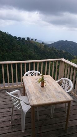 Blue Mountains, Jamaica