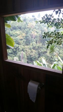 Blue Mountains, Jamaica