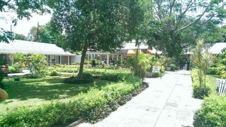 Devon Hause, Kingston